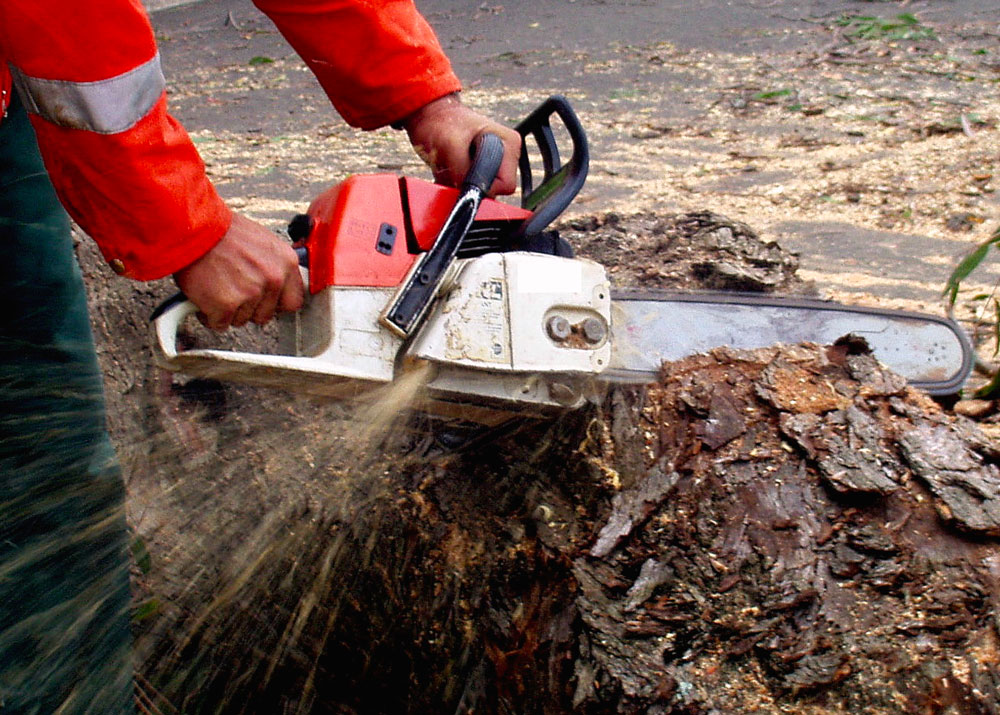 chainsaw working